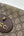 Gucci Neo Vintage Camera Messenger Bag GG Coated Canvas Crossbody Bag (Pre-owned) 97B2TJ8