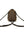 Louis Vuitton Monogram World Tour Palm Springs Backpack Mini