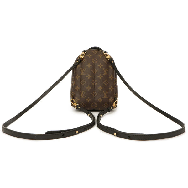 Louis Vuitton Monogram World Tour Palm Springs Backpack Mini