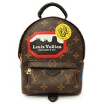 Load image into Gallery viewer, Louis Vuitton Monogram World Tour Palm Springs Backpack Mini
