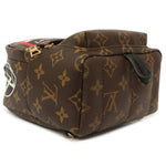 Load image into Gallery viewer, Louis Vuitton Monogram World Tour Palm Springs Backpack Mini
