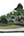 New Balance 57/40 BAPE Green