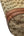 Gucci Beige/Brown GG Canvas Medium Bella Hobo Bag (Pre-owned) 48JHQKJ