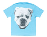 Load image into Gallery viewer, Stussy Big Dog Stone Washed Tee - Sky Blue
