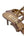 Valentino Garavani Rockstud 65mm pumps (Pre-owned)