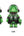 Pop Mart Mega Space Molly Automobile Lamborghini Edition 2024 400% (Green)