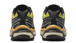 Load image into Gallery viewer, Salomon XT-6 Black Grape Leaf Beach Ball
