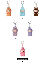 Load image into Gallery viewer, Popmart Labubu The Monsters Pin For Love Series Vinyl Plush Pendant Blind Box (A-M) (Sold per piece) V4
