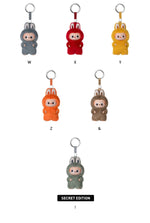 Load image into Gallery viewer, Popmart Labubu The Monsters Pin For Love Series Vinyl Plush Pendant Blind Box (N-Z) (Sold per piece) V4
