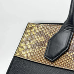 Load image into Gallery viewer, Louis Vuitton  Python/Leather City Streamer MM Noir (Like new) CMTJ609
