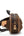 Louis Vuitton x Supreme Bumbag Monogram Camo PM Camo