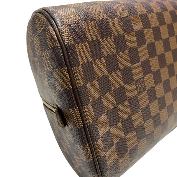 Louis Vuitton Damier Ebene Canvas Rivera MM (Like new)