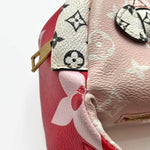Load image into Gallery viewer, Louis Vuitton Bumbag Monogram Giant Red/Pink (Pre-owned) 2T37DM9
