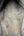 Burberry Haymarket Check Coated Canvas Medium Regent Tote Bag (Pre-owned)