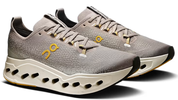 On Running Cloudsurfer Max Cinder Pelican