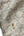 Gucci Studs Shima Leather Pelham (Pre-owned)