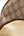 Gucci Ophidia Backpack GG Supreme Medium Beige/Ebony (Pre-owned) 3GGTR2B