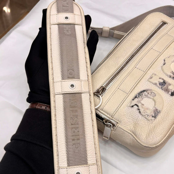 Dior x Daniel Arsham Safari Messenger Bag Calfskin White (Pre-owned)
