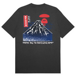 Load image into Gallery viewer, AAPE Moonface mountain graphic tee Grey
