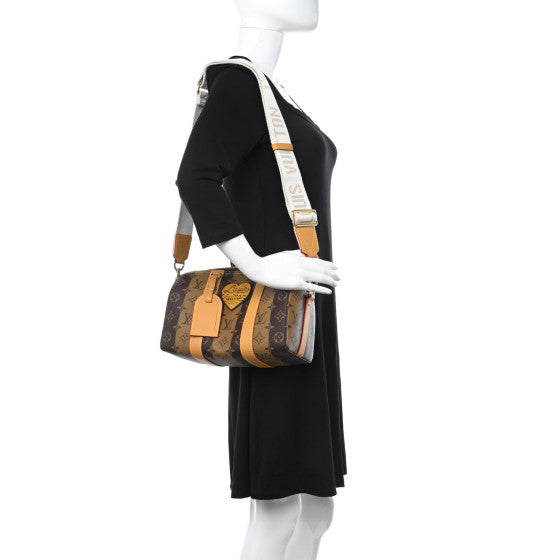 Louis Vuitton x Nigo Reverse Monogram Stripes City Bandouliere Brown