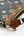 Louis Vuitton x Takashi Murakami Multicolor Monogram Pochette Bag (Pre-owned) 8TKRRGY