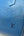 Louis Vuitton Toledo Blue Epi Leather Speedy 25 Bag (Pre-owned) 7WTHC4X