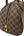 Louis Vuitton Damier Ebene Canvas Rivera MM (Like new)