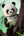 Pop Mart Mega Space Molly Panda 400%