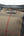 Burberry Brown Canvas House Check Prorsum Vintage Hobo (Pre-owned) K487RRQ