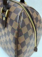 Load image into Gallery viewer, Louis Vuitton Damier Ebene Canvas Rivera MM (Like new)
