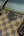 Louis Vuitton Damier Canvas Rose Ballerine Caissa PM Tote Bag (Excellent Condition)