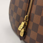 Load image into Gallery viewer, Louis Vuitton Damier Ebene Canvas Rivera MM (Like new) VJTYHB6
