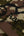 AAPEUNVS moonface Low socks Camo Green