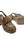 Gucci Monogram  Scamosciato Horsebit Platform Slingback Mules Beige Ebony New Acero (Fitted)