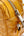 Goyard Cap-Vert PM Bag Yellow (Pre-owned) 9G2CDMD