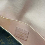 Load image into Gallery viewer, Louis Vuitton Pochette Felicie Limited Edition Valentine Dog Collection (Pre-owned) 783G9WD
