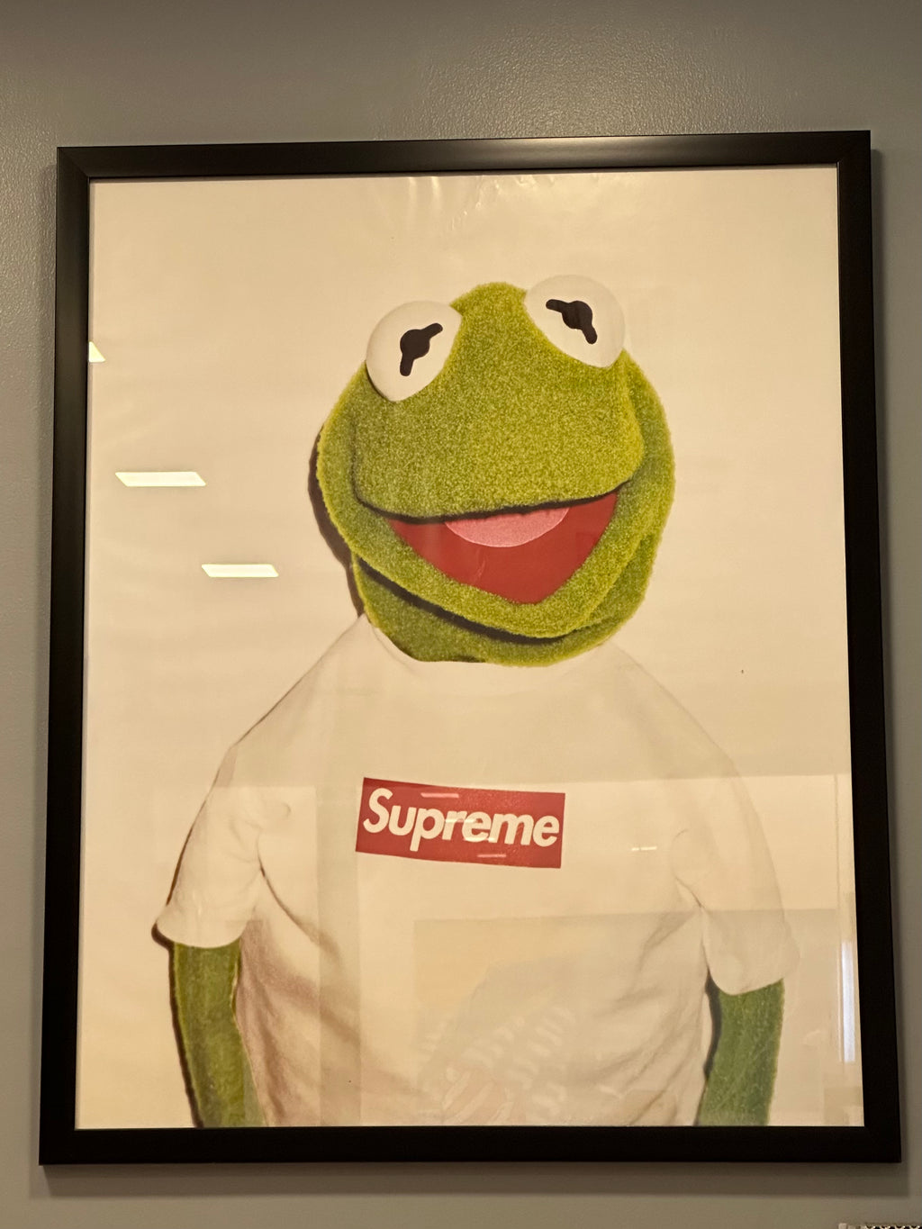 Bearbrick Kermit (supreme) 1000%