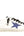 Golden Goose Superstar White Bluette Red