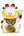 Fortune Garfield Gold Rush 10.3inch