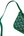 Goyard Saint Louis Tote PM Green