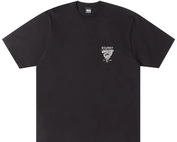 Stussy Dragon Tee Black