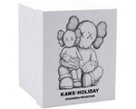 Load image into Gallery viewer, KAWS Holiday Changbai Mountain Vinyl Figure Black

