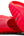 Nike Mind 001 Slide Solar Red (Women's)