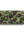 Bape Abc Camo Long Wallet Camo Green