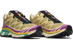 Load image into Gallery viewer, Salomon XT-6 Antique Gold / Transparent Yellow / Willow
