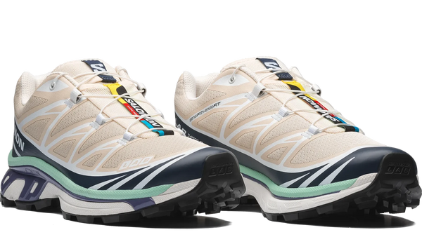 Salomon XT-6 Tapioca Spellbound Lichen