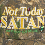 Load image into Gallery viewer, Not Today Satan Hat
