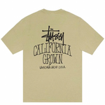 Load image into Gallery viewer, Stussy Cali Grown Pigment Dyed Tee Elm
