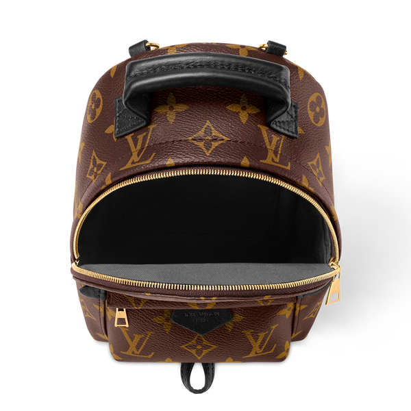 Louis Vuitton Palm Springs Backpack in brown Monogram Canvas