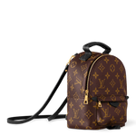 Load image into Gallery viewer, Louis Vuitton Palm Springs Backpack in brown Monogram Canvas
